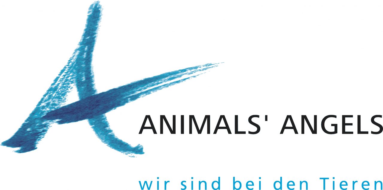 Logo Animals Angels